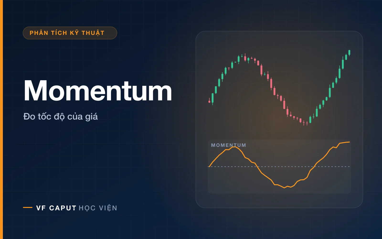 Chỉ báo Momentum là gì? Hướng dẫn sử dụng hiệu quả